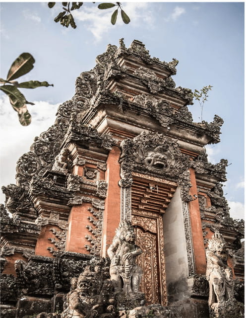Ubud:Art Village, MonkeyForest, RiceField, & Bali Swing Tour - Who Should Consider This Tour?