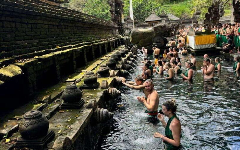 Ubud:private tour riceterace&swing waterfall& tirta empul - Key Points