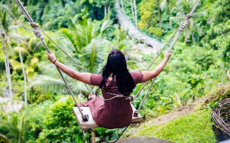 Ubud:private tour riceterace&swing waterfall& tirta empul - An In-Depth Look at the Ubud Private Tour