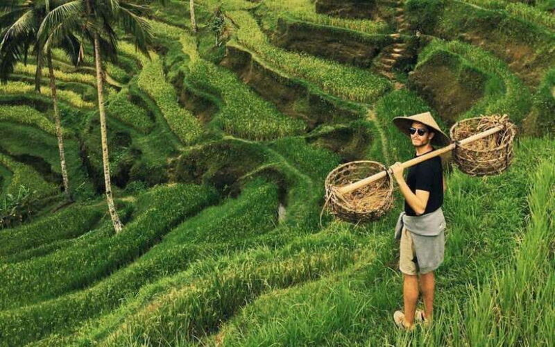 Ubud:private tour riceterace&swing waterfall& tirta empul - Who Will Benefit Most?