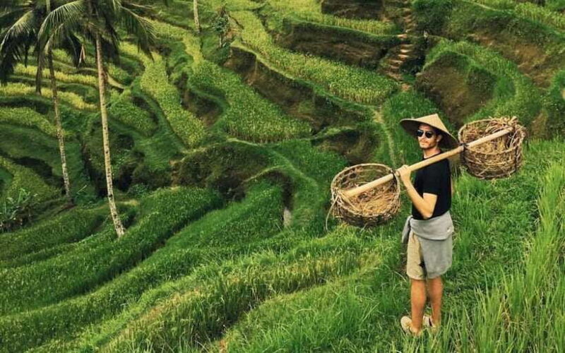 Ubud:private tour riceterace&swing waterfall& tirta empul - The Sum Up