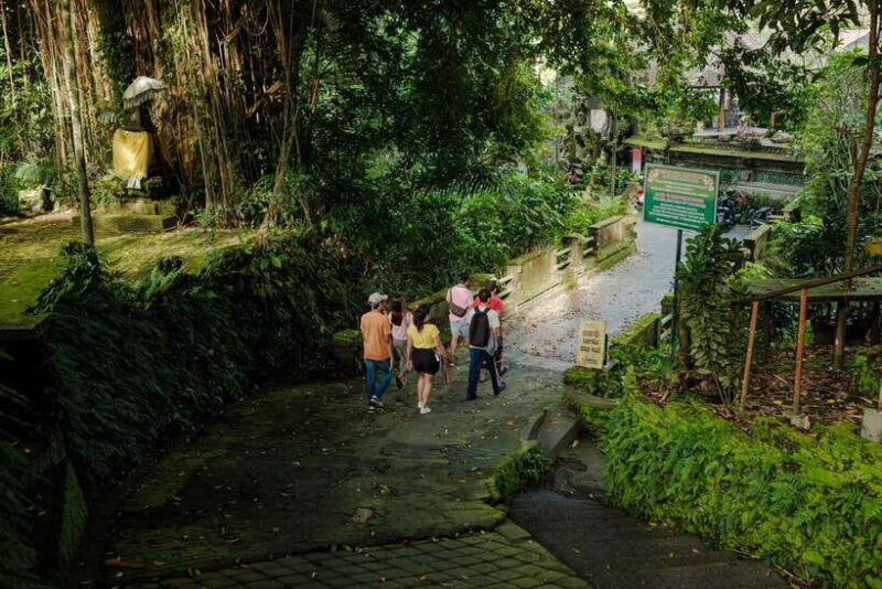 Ubud's Journey from Past to Present - A Deep Dive into the Experience