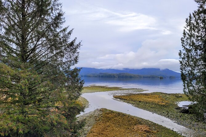 Ucluelet Tour, Pacific Rim Expedition to Barkley Sound Viewpoint - Tour Inclusions