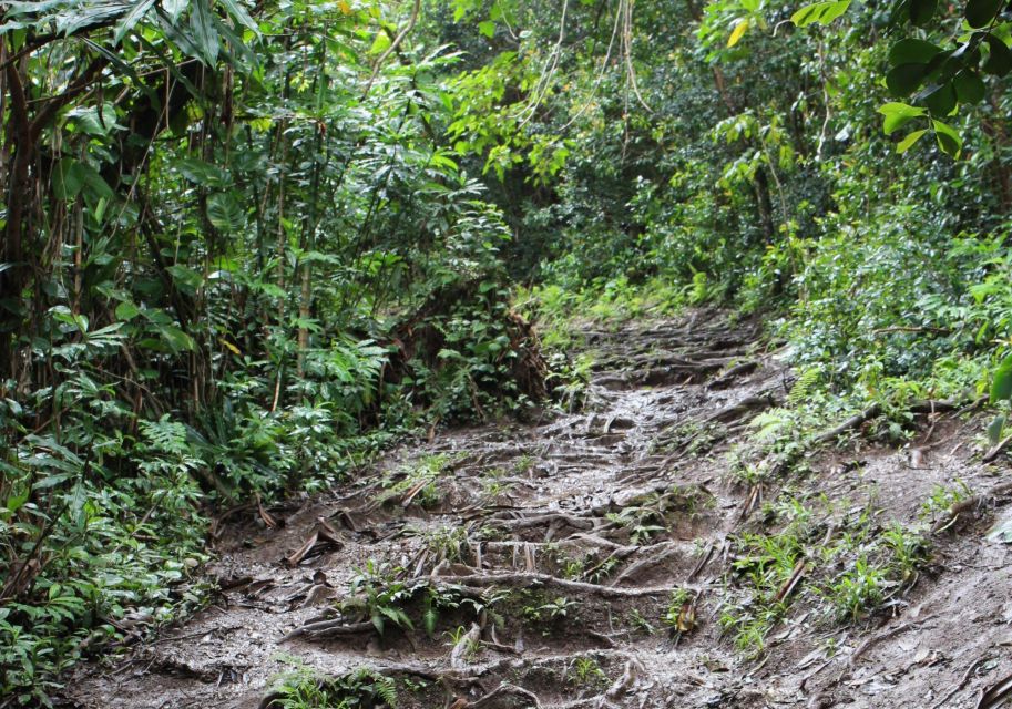 Ucplaces Maui Road to Hana #1 Self-Guided Audio Driving Tour - Not Included in the Tour