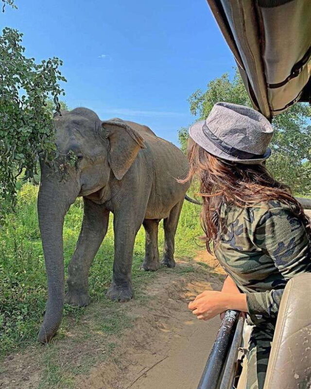 Udawalawa National Park: All Inclusive Safari Day Tour - Exploring Udawalawa with Tiger Safaris