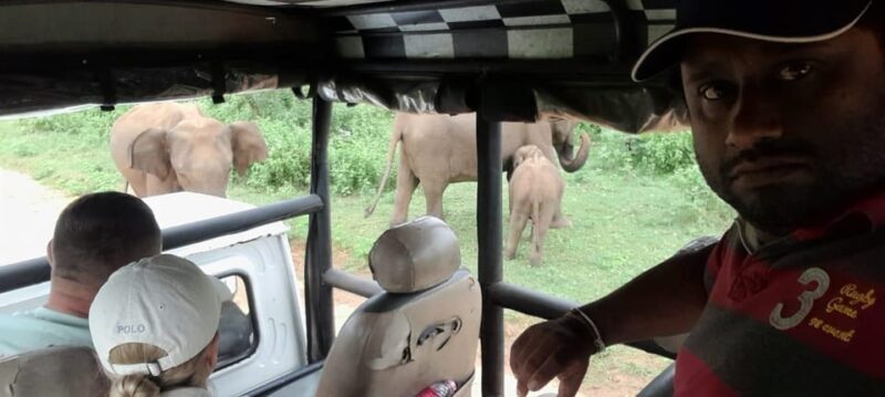 Udawalawa Safari W Tush, With Pickup & Drop off Both at Ella - Wildlife and Experience Highlights