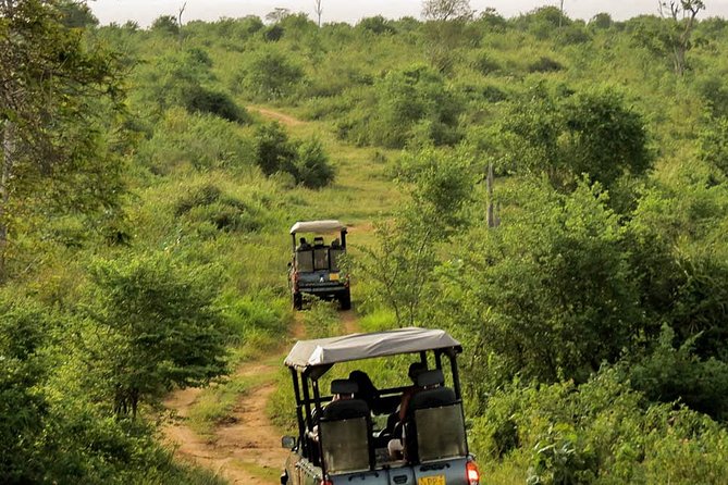 Udawalawe National Park Entrance Ticket - Additional Considerations