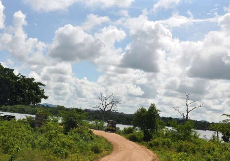 Udawalawe National Park Private Safari + Transit Home Visit - An In-Depth Look at the Udawalawe Safari Experience