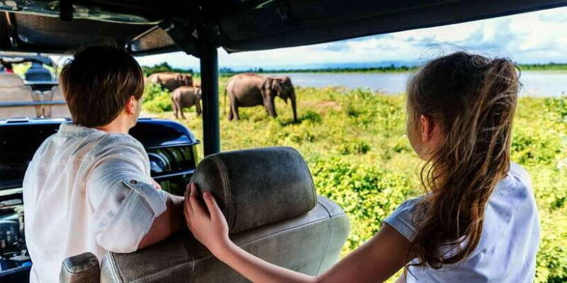 Udawalawe: National Park Safari & Elephant Transit Home Tour - Key Points