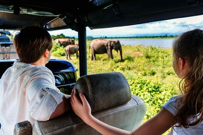 Udawalawe National Park Safari With Elephant Transit Home Visit - Visitor Reviews and Ratings
