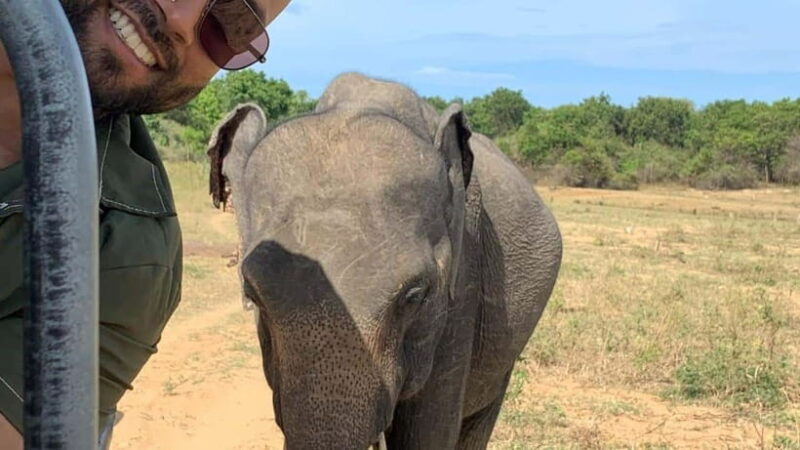 Udawalawe National Park Wildlife Safari from Hambantota Port - Key Points