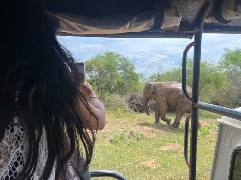 Udawalawe National Park Wildlife Safari from Hambantota Port - Frequently Asked Questions