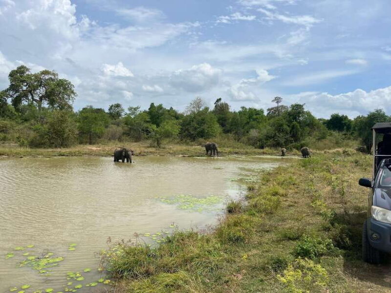 Udawalawe National Park Wildlife Safari from Hambantota Port - Final Thoughts