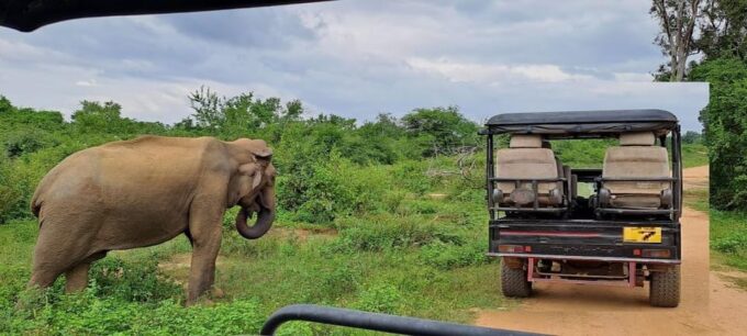 Udawalawe Safari - Additional Details