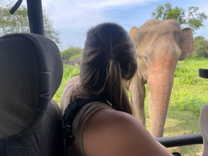 Udawalawe Safari With Elephant Transit Home - Good To Know