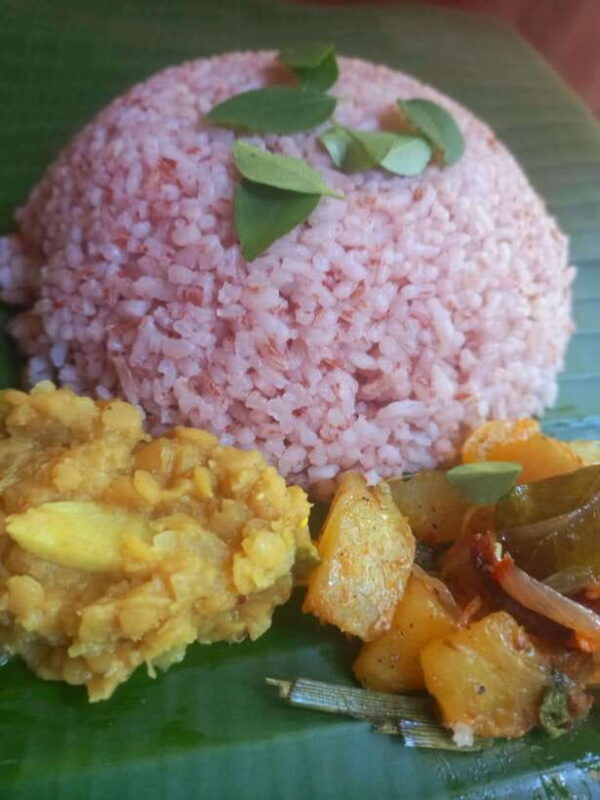 Udawalawe: Udawalawe Cooking experience with local family - Final Thoughts: Is This Experience for You?