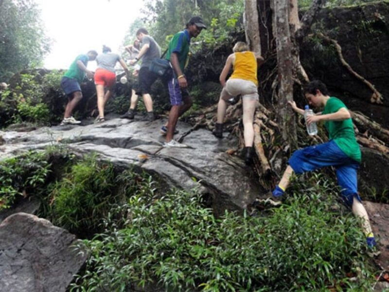 Uduwara and Nagadowa Waterfall Trekking - Good To Know
