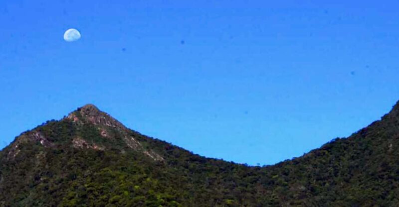 Uduwara and Nagadowa Waterfall Trekking - Additional Information