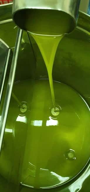 Uljara sv. Ivan Vodice: Olive Oil Tasting and Oil Mill Tour - Final Thoughts