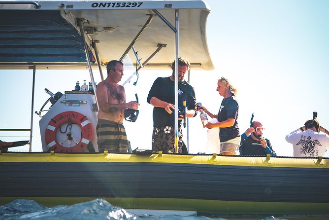 Ultimate 4 Hour Lani Snorkel and Dolphin Encounter - Key Points