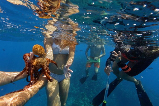 Ultimate 4 Hour Lani Snorkel and Dolphin Encounter - Meeting and Pickup Information