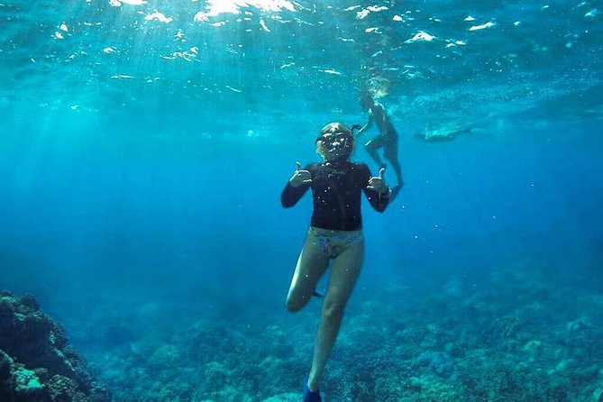Ultimate 4 Hour Lani Snorkel and Dolphin Encounter - Expectations and Inclusions