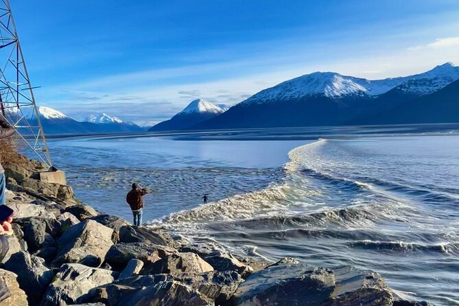 Ultimate Anchorage Summer Wildlife Tour - Meet Your Guide: Brittany