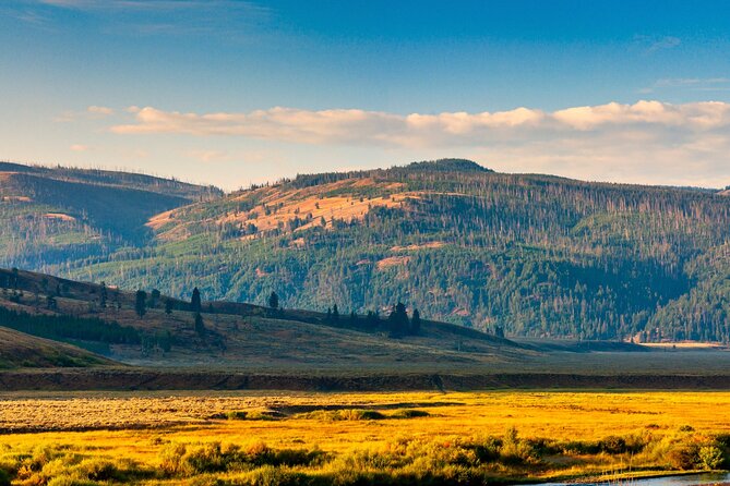 Ultimate Audio Tours: Yellowstone, Glacier, Grand Teton & Banff - Tour Experience and Personalization