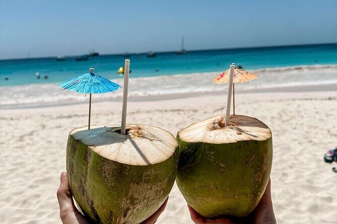 Ultimate Barbados Beach Day And Snorkel Cruise - Final Thoughts