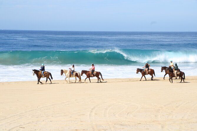 Ultimate Cabo Adventure UTV Horseback and Sky Bike Combo - The Itinerary in Detail