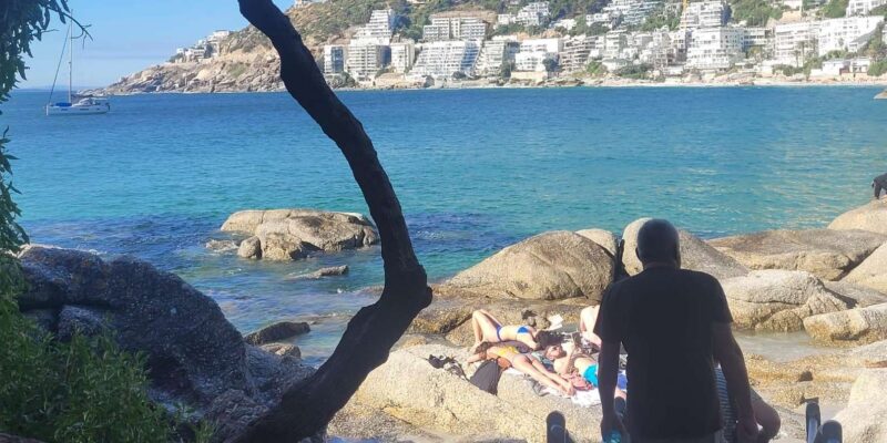 Ultimate Cape Town Penisula Overview Tour - Tour Overview