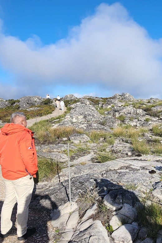 Ultimate Cape Town Penisula Overview Tour - Itinerary Highlights