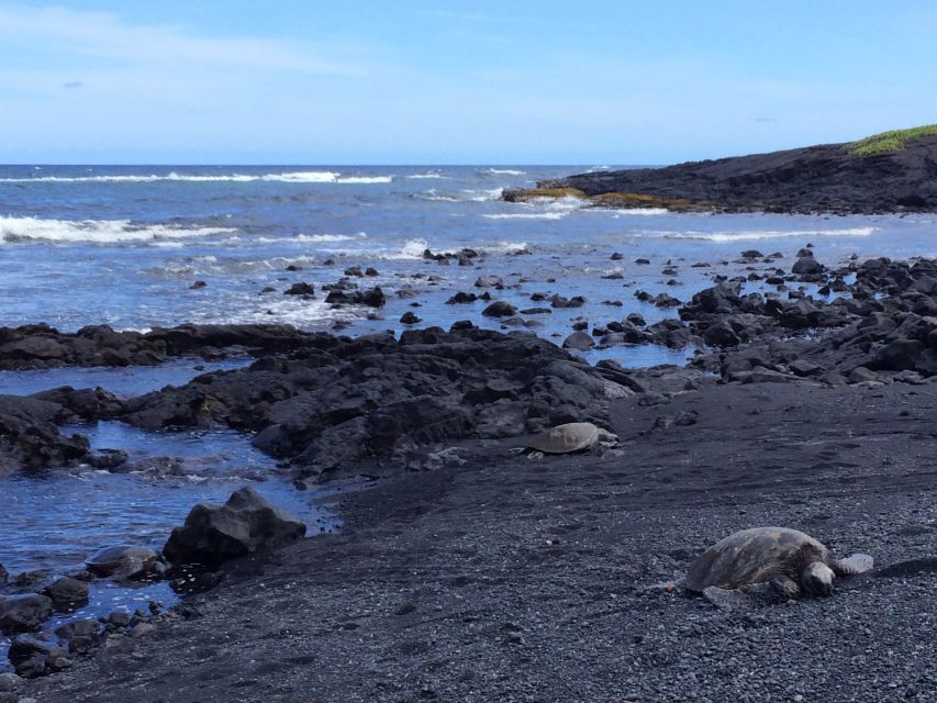 Ultimate Circle Island Explorer From Kona With Lunch - Punaluu Black Sand Beach