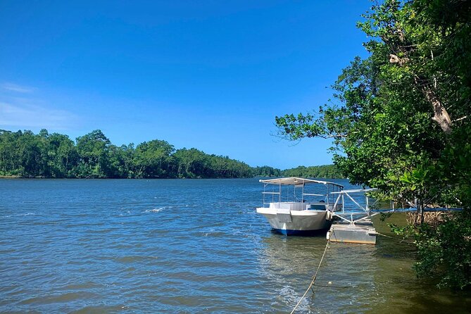 Ultimate Daintree Rainforest Wildlife Experience Cruise - Meeting Point and Directions