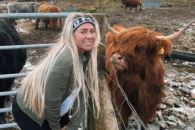 Ultimate Day tour Edinburgh: Glencoe, Highland Cows, Loch Lomond - In Summary: Who’s This Tour For?  