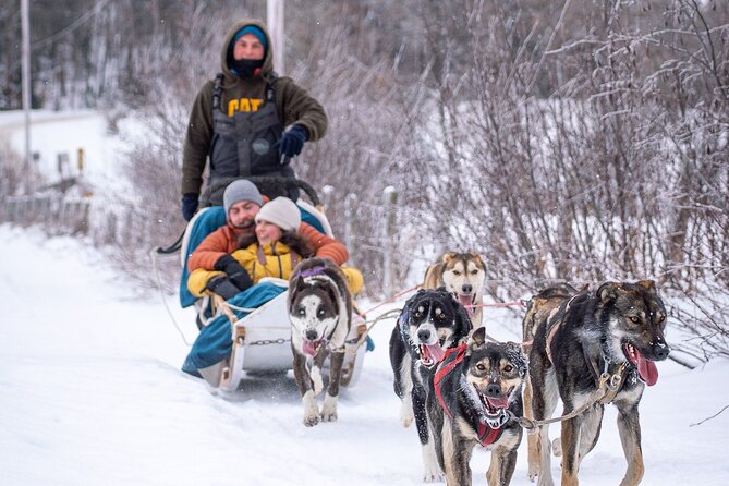 Ultimate Dog Sledding Tour - Day Trip From Ottawa & Gatineau - Professional Musher Guidance