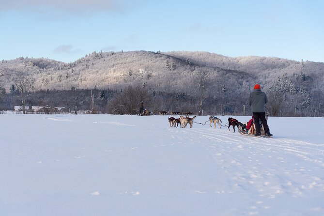 Ultimate Dog Sledding Tour - Day Trip From Ottawa & Gatineau - Scenic Views and Waterfall