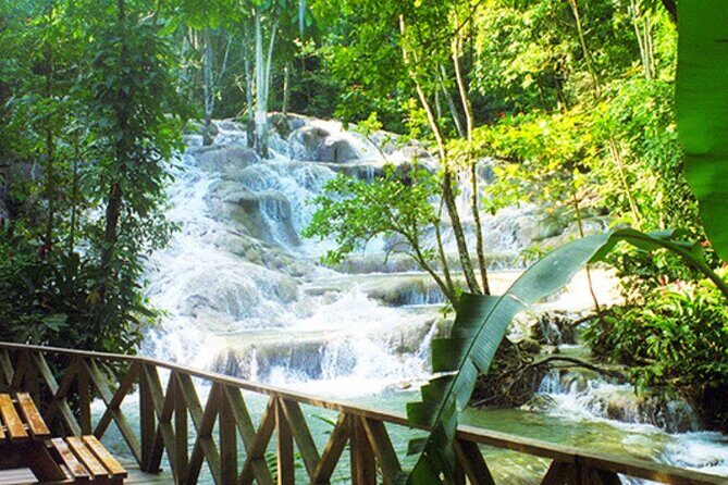 Ultimate Dunn's River Falls hike and swim and Natural wonder - Final Thoughts: Is This Tour Right for You?