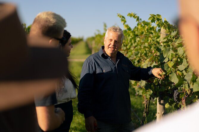 Ultimate Food and Wine Lovers Escape - Who Is This Tour Best For?