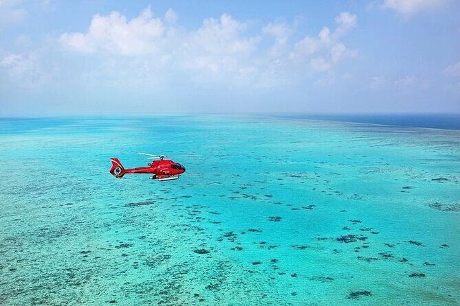 Ultimate Great Barrier Reef and Rainforest 45-minute Helicopter Tour - Practical Tips for Booking and Enjoyment