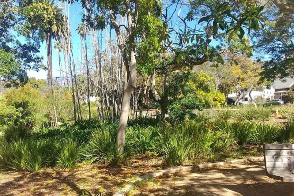 Ultimate Guide to Santa Barbara: A Self-Guided Urban Stroll - Chumash Native Heritage