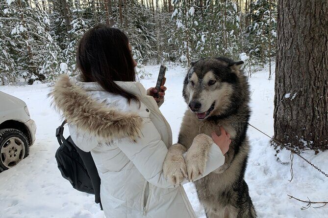 Ultimate Husky dog sledding experience in Latvia - Private tour from Riga - The Value of the Experience
