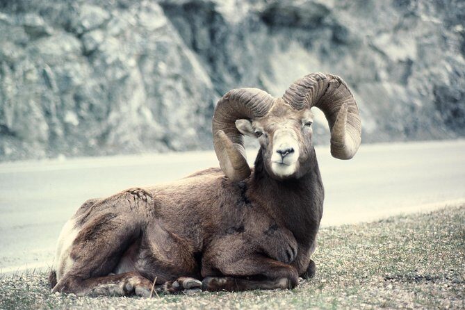 Ultimate Jasper Nature Walk - An In-Depth Look at the Experience