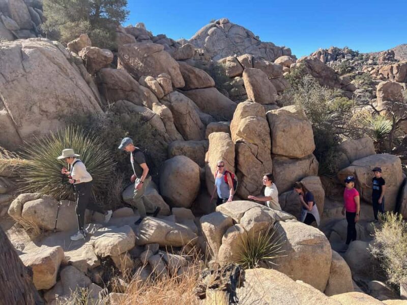 Ultimate Joshua Tree National Park Private Group Adventure - Introduction: A Short but Sweet Joshua Tree Escape