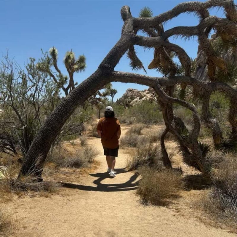 Ultimate Joshua Tree National Park Private Group Adventure - Who Might Not Be the Best Fit?