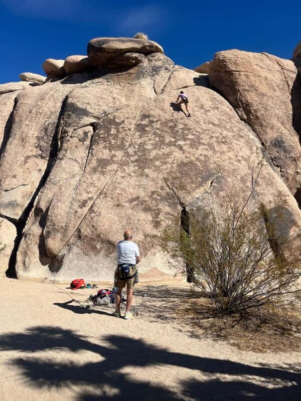 Ultimate Joshua Tree National Park Private Group Adventure - The Sum Up: Why Choose This Tour?