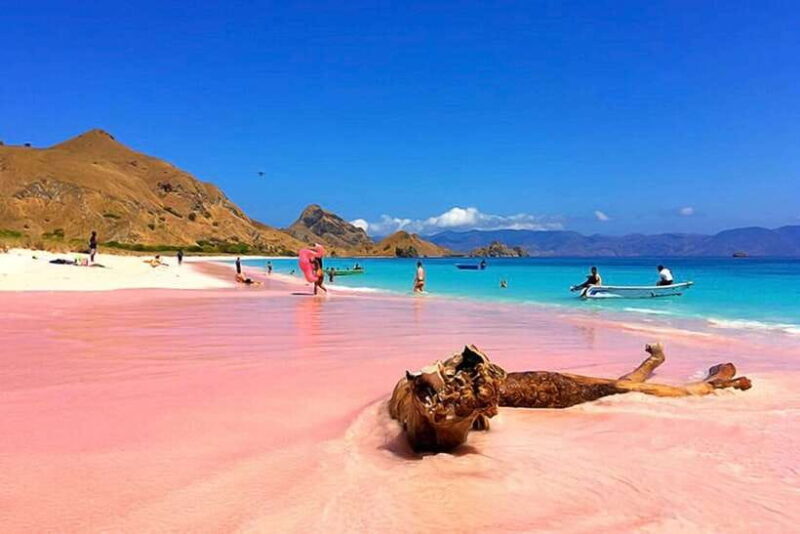 Ultimate Labuan Bajo Experience: 6 Amazing Destinations - Key Points