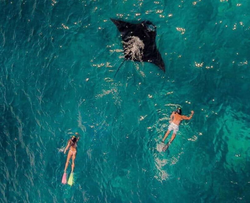 Ultimate Labuan Bajo Experience: 6 Amazing Destinations - Who Will Love This Tour