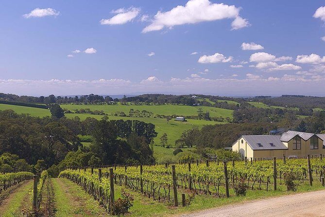 Ultimate Mornington Peninsula Food and Wine Small Group Tour - Practical Details and Tips
