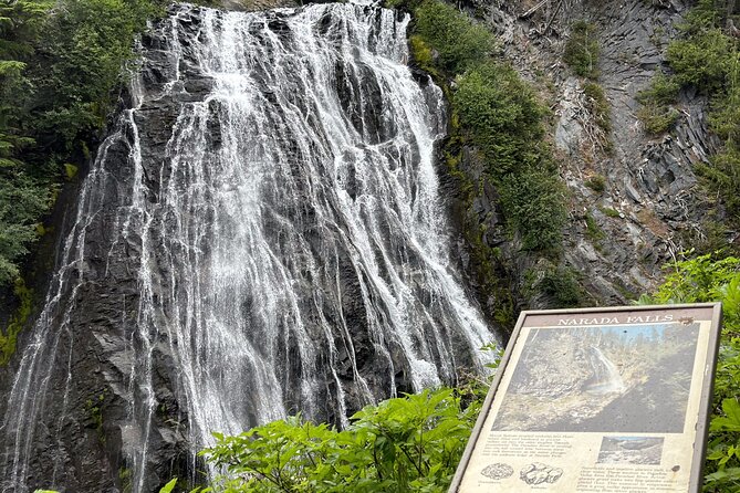Ultimate Mount Rainier National Park Self-Guided Driving Tour - Personalized Tour Experience